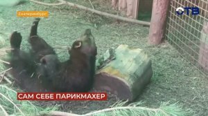 Свердловское утро от 10.06.26