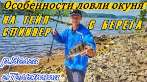 ЛОВЛЯ КРУПНОГО ОКУНЯ НА ТЕЙЛ-СПИННЕР/РЫБАЛКА С БЕРЕГА НА ВОЛГЕ/ОКУНЬ НА СПИННИНГ/Р.ВОЛГА, Г.ТОЛЬЯТТИ