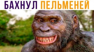 БАХНУЛ ПЕЛЬМЕНЕЙ))) Приколы