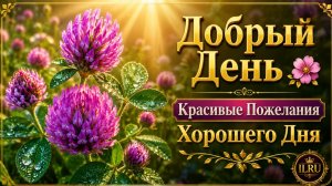Красивые Пожелания Хорошего Дня  🌷 Музыкальная Открытка Для Отличного Настроения