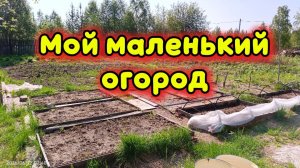 Мой маленький огород.