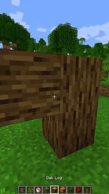 Minecraft How To Spawn Br Br Patapim🤯 #minecraft #shorts