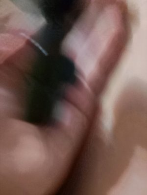чистим органайзер