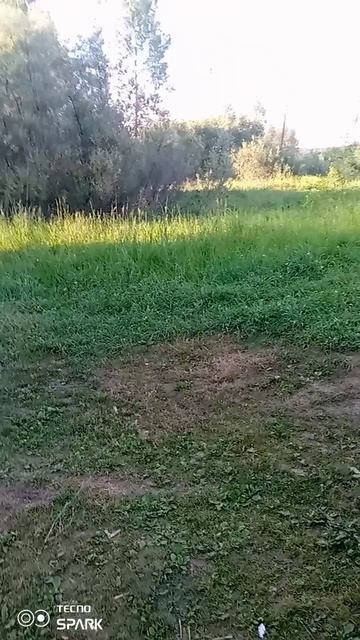 Хорошего вечера, друзья 🤗 смотреть онлайн