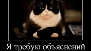 я. требую объяснения.