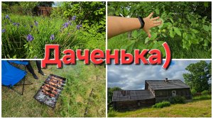 12-06-2026 Приехали на дачу, отдыхать! // Кое-что посадила.
