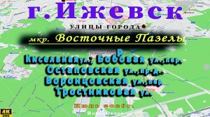 улица Тростниковая Кисельная Воронцовская Бобровая Остаповская Восточные Пазелы Ижевск  9 06 2026 г.