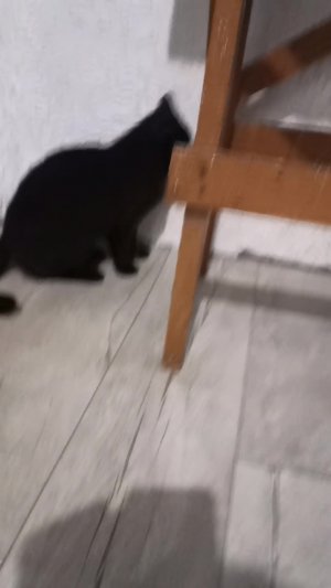 Уголёк