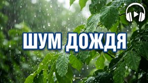 Успокаивающий звук дождя/НАСТОЯЩИЙ/Расслабляющие звуки природы/Время для кофе и чтения книг/СЕГОДНЯ