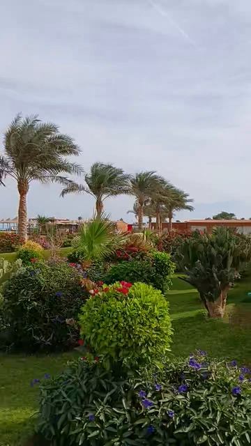 Rewaya Inn Resort (Ex. Hawaii Paradise Aqua Park Resort)  Где находится туалет?