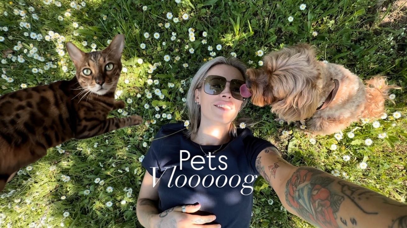 Pets vlog | Первая прогулка в парке🌳Чужих детей не бывает КотоНяня Всех накормлю🍽️Один летний день смотреть онлайн