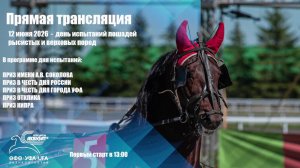 LIVE: Ипподром «Акбузат» имени Т.Т. Кусимова