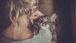 ...зима... - Суббота..автор ролика Светлый