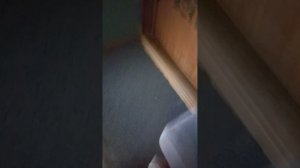 Квартира соседей