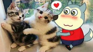 Мультики для детей .Детские мультики.Яркие мультики