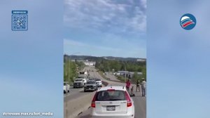 Лосенок в беде: неравнодушные мужчины пришли на помощь