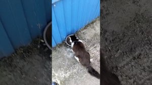 Как я провожу прошлые выходные в деревне