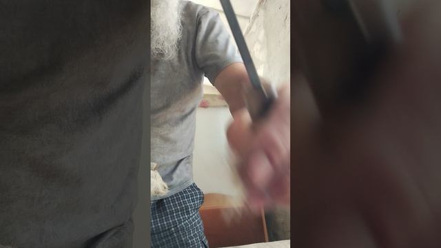 Дикая финка номер 2, в Питер поедет