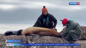 «Вести. Сахалин. Курилы». 11 июня 2026 года