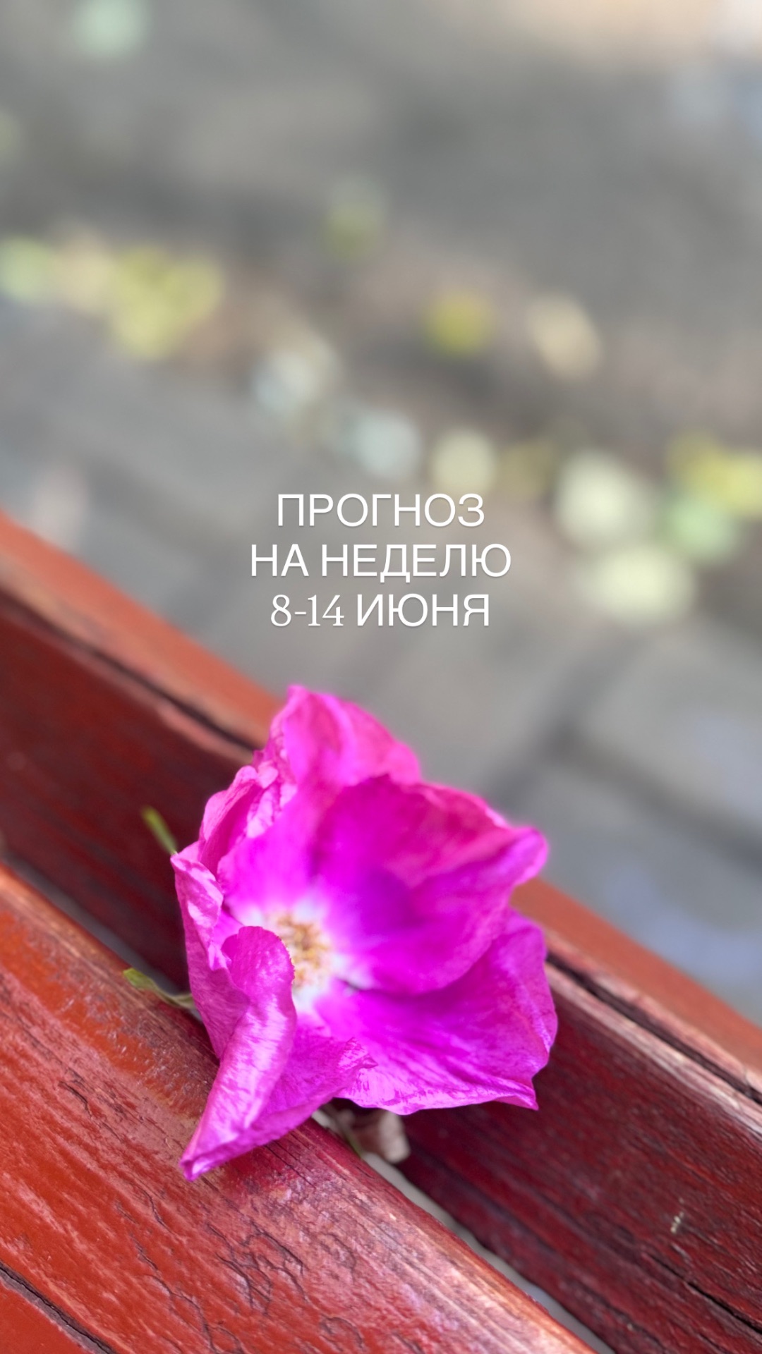 Прогноз на неделю с 8 по 14 июня
