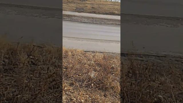 VID_20260403_174716.mp4 смотреть онлайн
