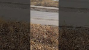VID_20260403_174716.mp4