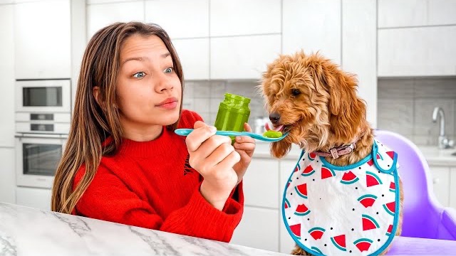 СТАЛА МАМОЙ в 13 ЛЕТ 🐶 Самое Милое Видео / Вики Шоу смотреть онлайн