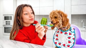 СТАЛА МАМОЙ в 13 ЛЕТ 🐶 Самое Милое Видео / Вики Шоу