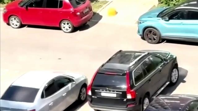 Редкое явление корова в Москве