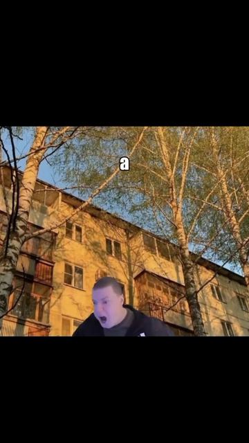Поющий Мелл. Мем смотреть онлайн
