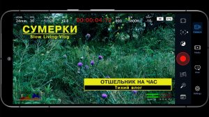 Отшельник на час (Тихий влог)