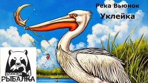 RR4 Уклейка на р. Вьюнок.