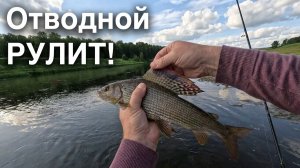 Отводной поводок на реке: Как ловить хариуса и окуня.
