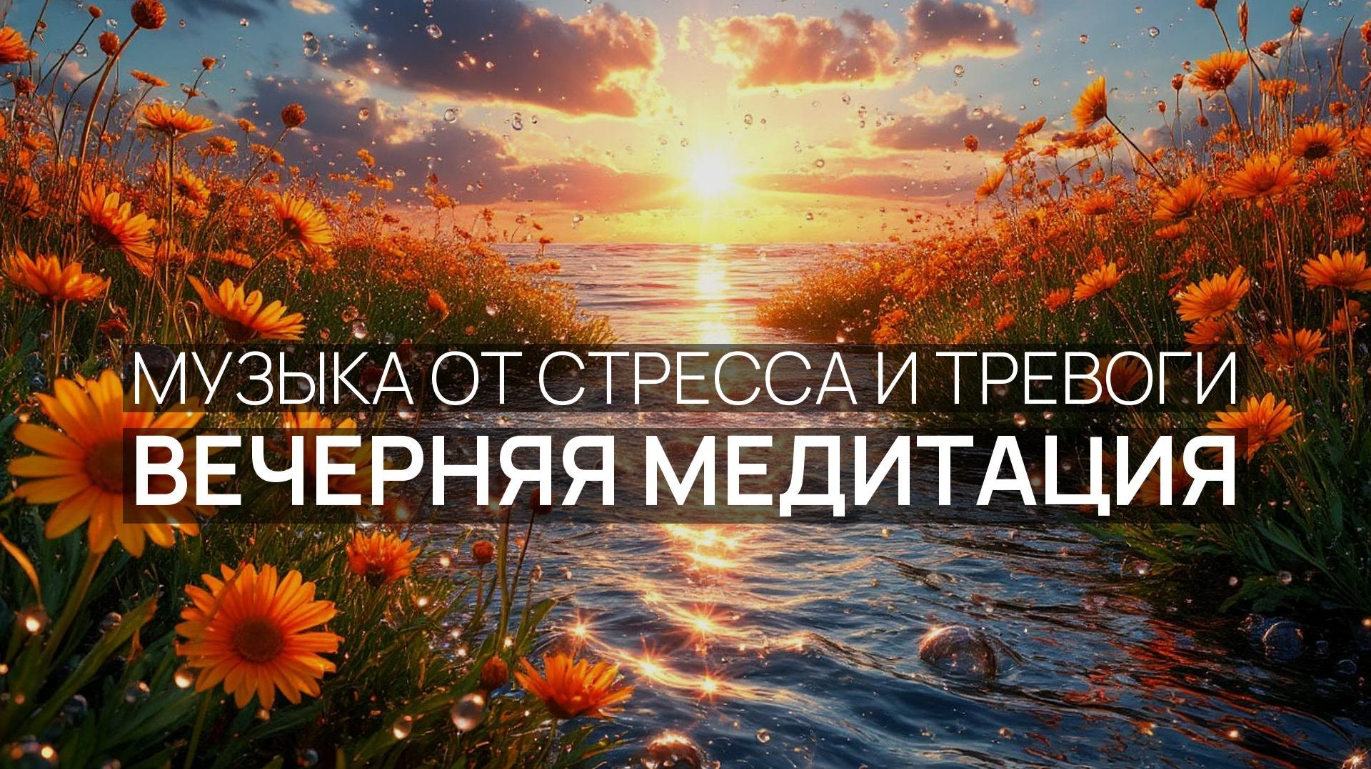 Вечерняя медитация 🎵 Крики чаек 🕊️ Пляжные пальмы 🏝️