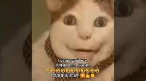 Говорящий кот. ПРИКОЛ!!! РЖАЧ!!!