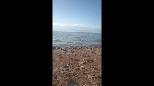 12 июня. С праздником.