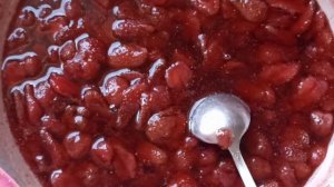С праздником Россияне!!! У нас жара: отцветают пионы, Варю варенье, купаемся в « Медведице! «