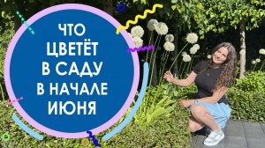 ЧТО ЦВЕТËТ В САДУ В НАЧАЛЕ ИЮНЯ