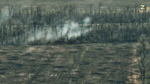Оператор-наводчик БМП-2 крупным калибром буквально прошивает лесополку с боевиками ВСУ.