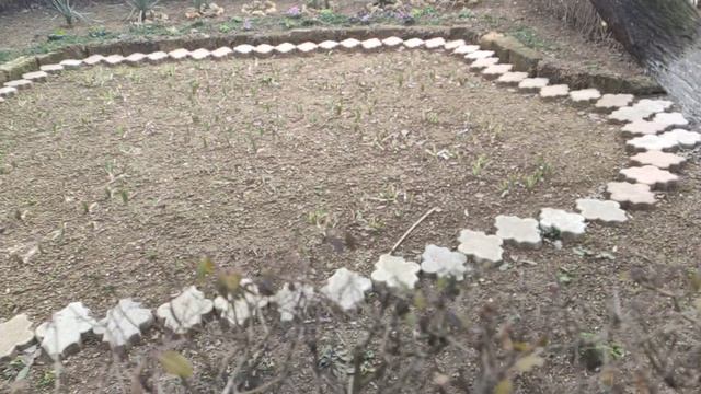 Один из дней города Евпатории | 12 января 2022 год  Крым ХАН БАТОН XAH 6ATOH | VID_20220112_144902