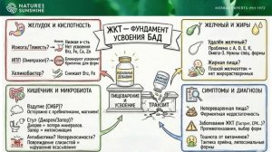 Желудочно-кишечный тракт — дирижёр общего здоровья