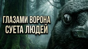 ворон | лесной рассказ