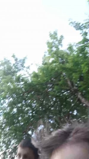 гул