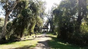 Абхазия.Мюссера.Территория дачи Сталина.
