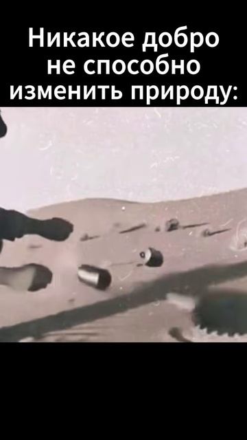 Никакое добро не способно изменить природу