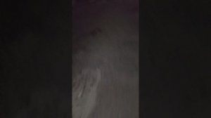 799.mp4