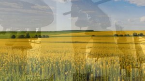 Колоколам посвящается