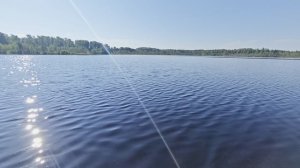 Озеро Красный Остров. Июнь 2026