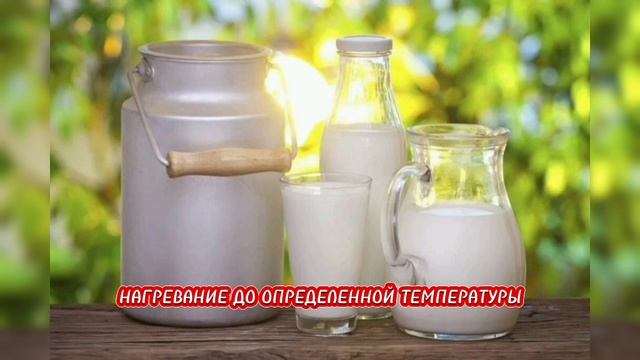 Интересные факты о молоке.