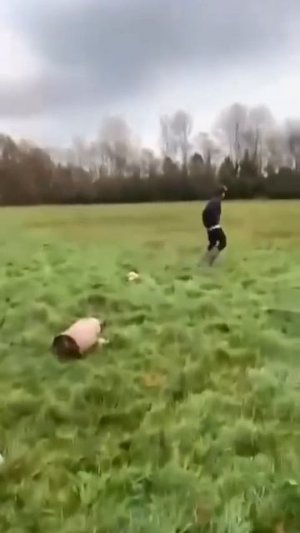 Делайте так каждый день и ваша жопа болеть не будет😁